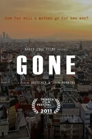 Постер к фильму Пропавший: Исчезновение Аэрина Гиллерна (2011)