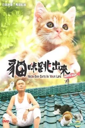 Постер к фильму Nekoban 3D: Tobidasu nyanko (2011)