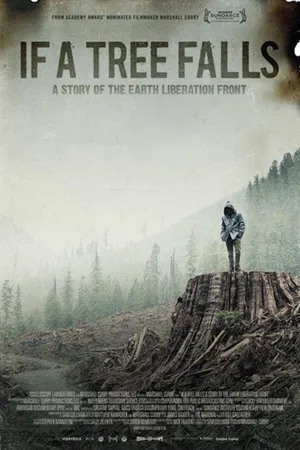 Постер к фильму Если дерево упадет (2011)
