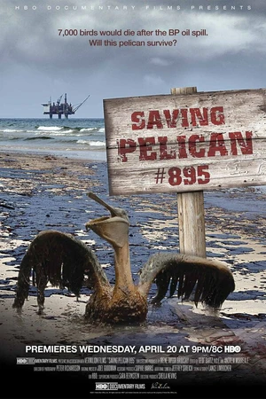 Постер к фильму Saving Pelican 895 (2011)