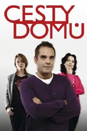 Постер к сериалу Дорога домой (2010)