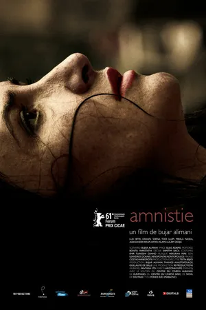 Постер к фильму Амнистия (2011)