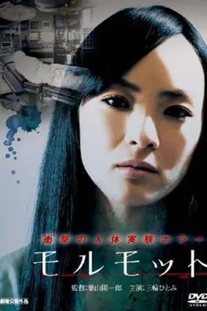 Постер к фильму Mormot (2011)