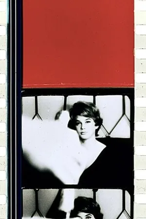 Постер к фильму Швехатер (1958)