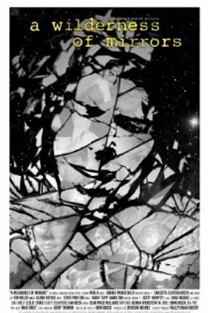 Постер к фильму A Wilderness of Mirrors (2011)