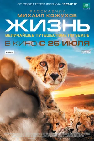 Постер к фильму Жизнь (2011)