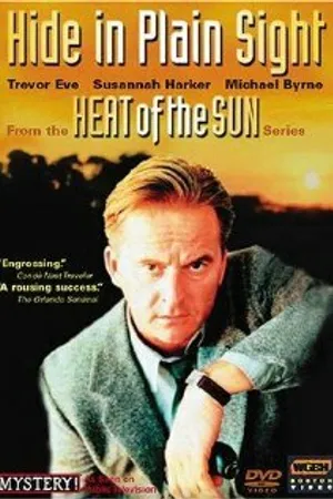 Постер к сериалу Heat of the Sun (1998)