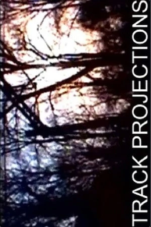 Постер к фильму Проекции следов (2007)