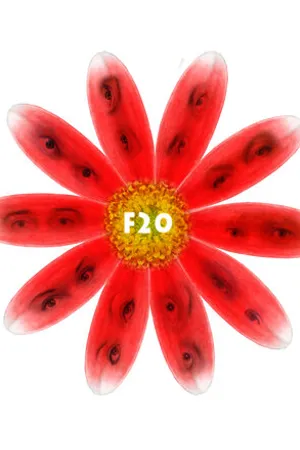 Постер к фильму F20 (2011)