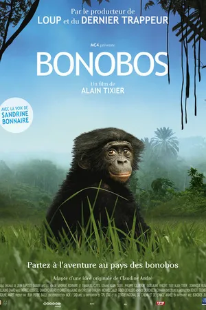 Постер к фильму Бонобо (2011)