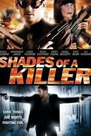 Постер к фильму Оттенки убийцы (2010)