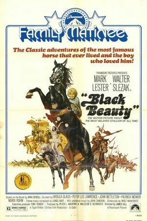 Постер к фильму Черный красавчик (1971)
