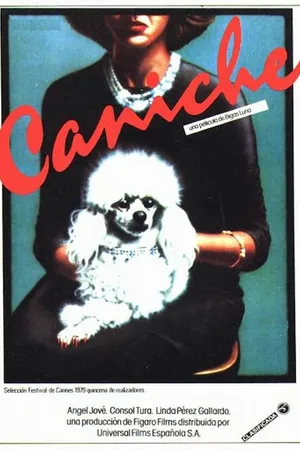 Постер к фильму Пудель (1979)