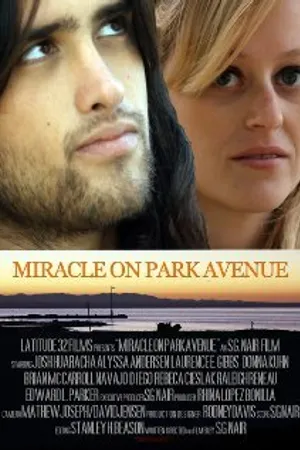 Постер к фильму Miracle on Park Avenue (2011)
