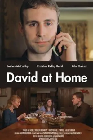 Постер к фильму David at Home (2011)