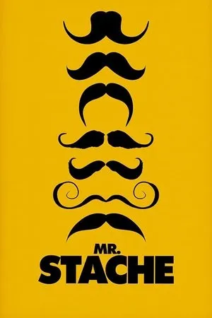 Постер к фильму Мистер Сташ (2011)
