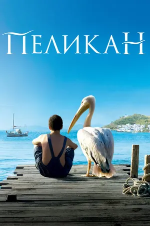 Постер к фильму Пеликан (2011)