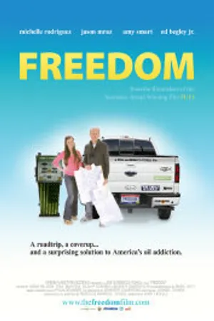 Постер к фильму The Big Fix (2012)