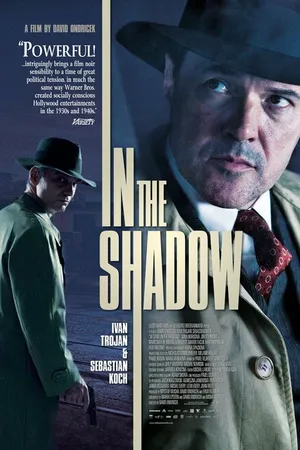 Постер к фильму В тени (2012)