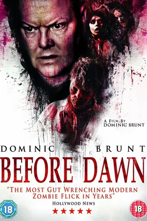 Постер к фильму Перед рассветом (2013)