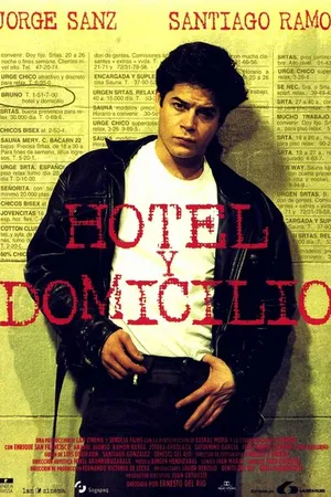 Постер к фильму В отеле и на дому (1995)