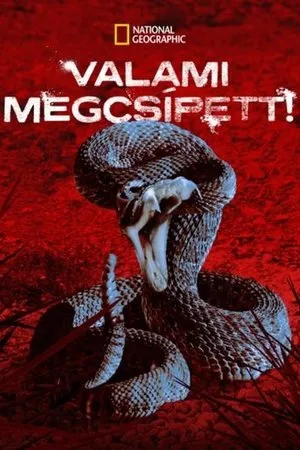 Постер к сериалу Меня укусили (2008 - 2009)