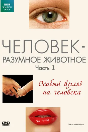 Постер к сериалу BBC: Человек – разумное животное (1994)