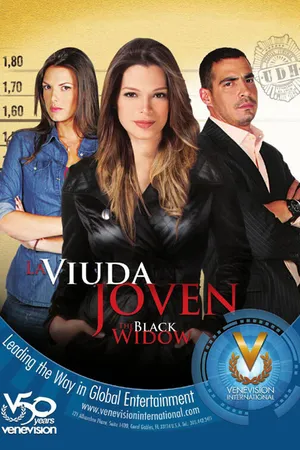 Постер к сериалу Молодая вдова (2011)
