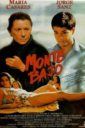 Постер к фильму Висячая скала (1989)