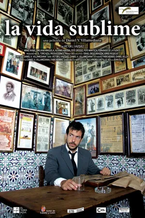 Постер к фильму Блистательная жизнь (2010)