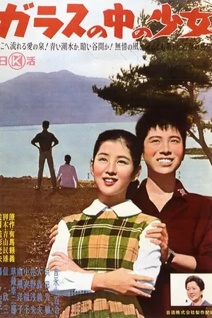 Постер к фильму Девушка в зеркале (1960)