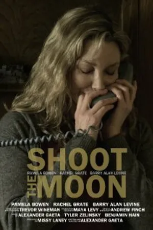Постер к фильму Полёт на Луну (2012)