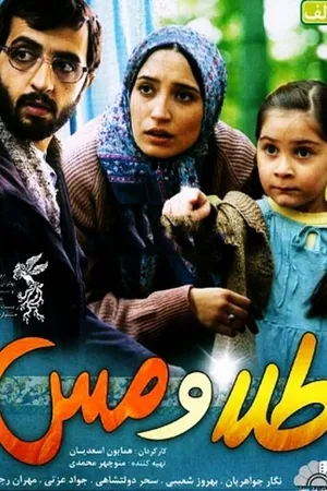 Постер к фильму Золото и медь (2010)