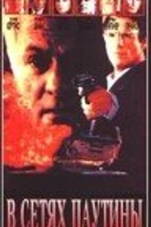 Постер к фильму В сетях паутины (1992)