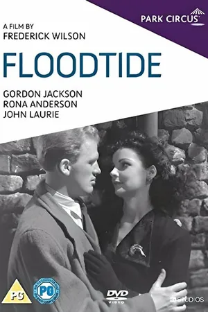 Постер к фильму Floodtide (1949)