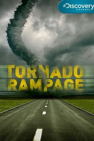 Постер к фильму Неистовый торнадо (2011)
