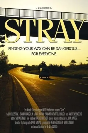 Постер к фильму Stray (2015)