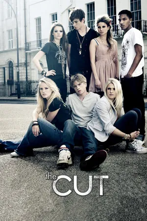 Постер к сериалу Шанс (2009 - 2010)