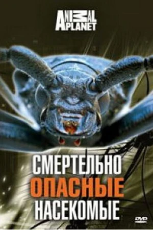 Постер к фильму Animal Planet: Смертельно опасные насекомые (1998)