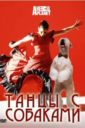 Постер к фильму Discovery: Танцы с собаками (2008)