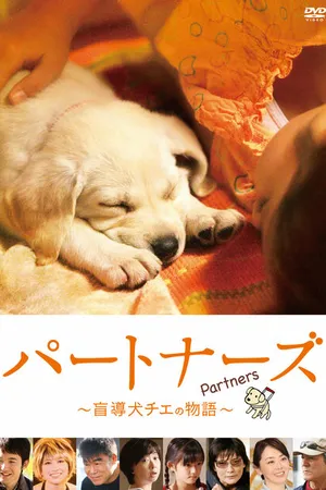 Постер к фильму Напарники (2010)
