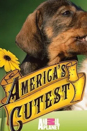Постер к сериалу Самые милые питомцы Америки (2009 - 2014)