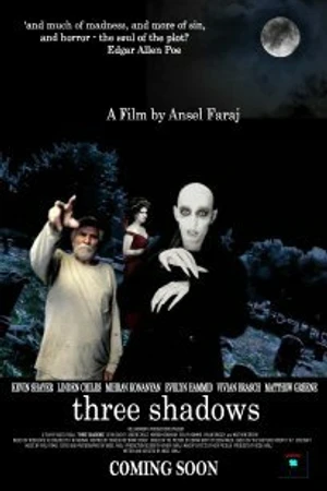 Постер к фильму Three Shadows (2010)