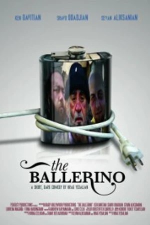 Постер к фильму The Ballerino (2011)