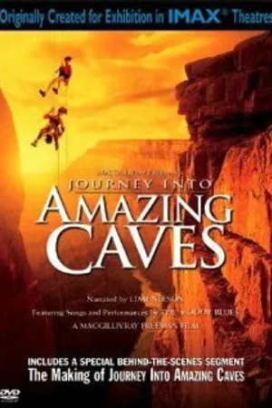 Постер к фильму Путешествие в удивительные пещеры (2001)
