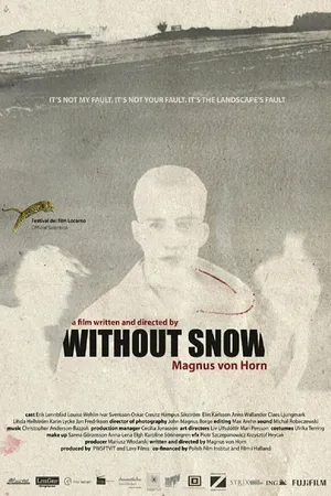 Постер к фильму Без снега (2011)