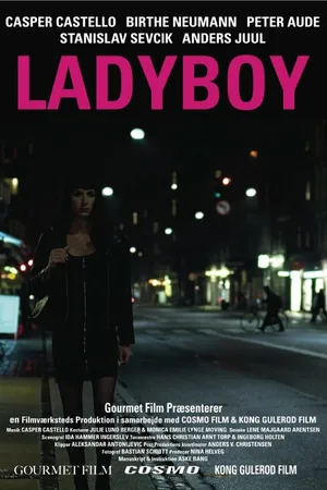 Постер к фильму Ladyboy (2011)