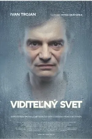 Постер к фильму Видимый мир (2011)