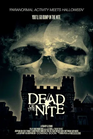 Постер к фильму Dead of the Nite (2013)