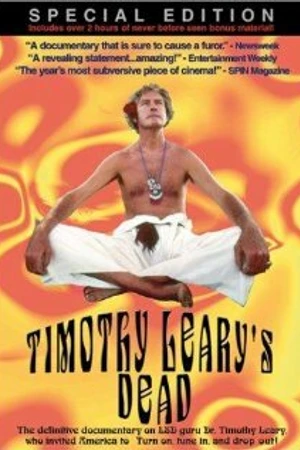 Постер к фильму Смерть Тимоти Лири (1996)